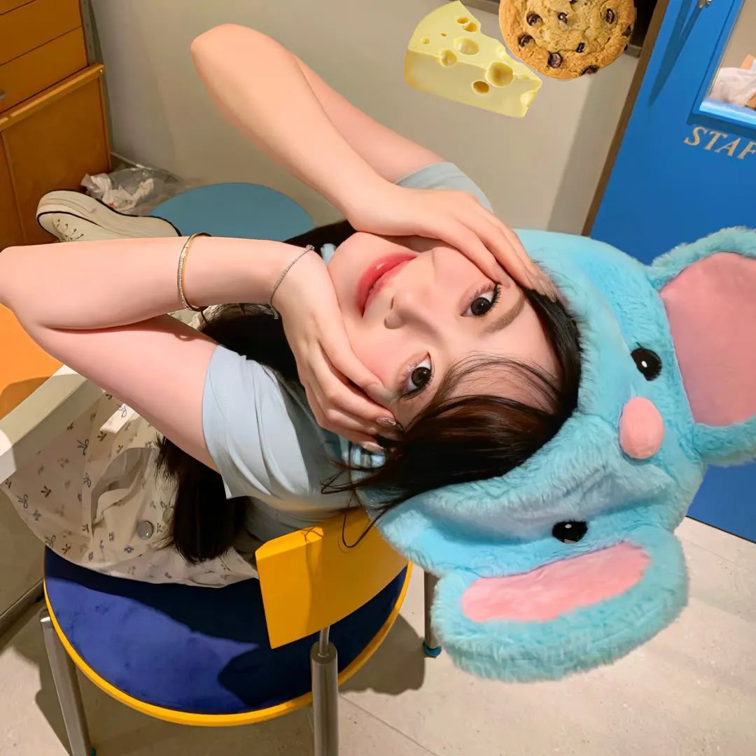 青春环游记第四季